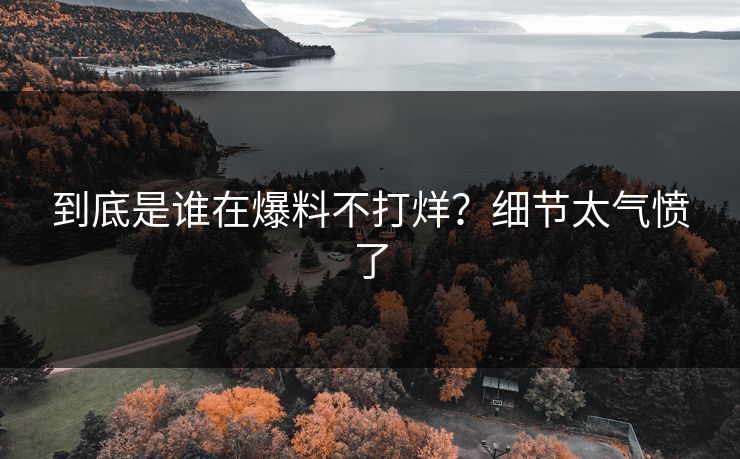 到底是谁在爆料不打烊？细节太气愤了