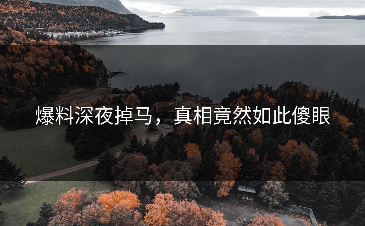 爆料深夜掉马，真相竟然如此傻眼