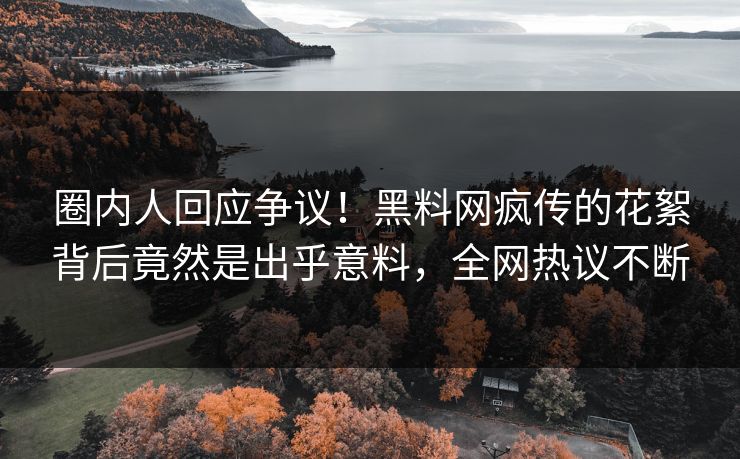 圈内人回应争议！黑料网疯传的花絮背后竟然是出乎意料，全网热议不断