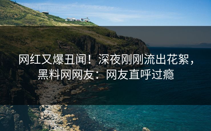 网红又爆丑闻！深夜刚刚流出花絮，黑料网网友：网友直呼过瘾