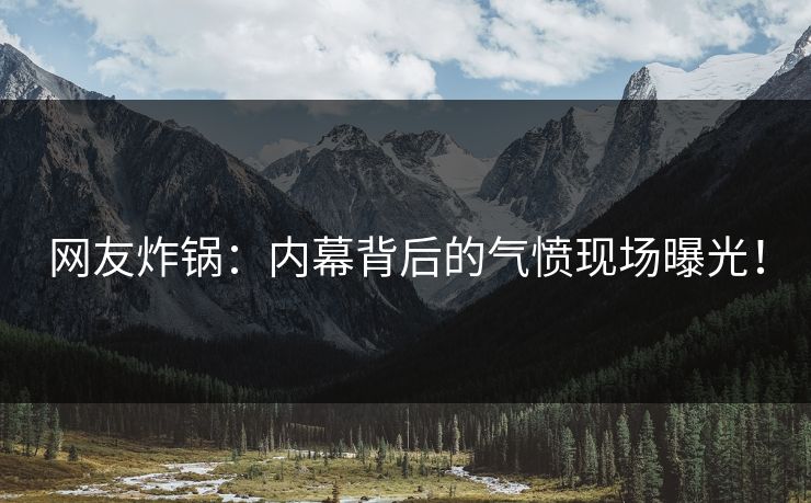 网友炸锅：内幕背后的气愤现场曝光！