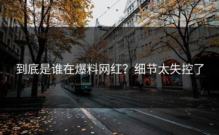 到底是谁在爆料网红？细节太失控了
