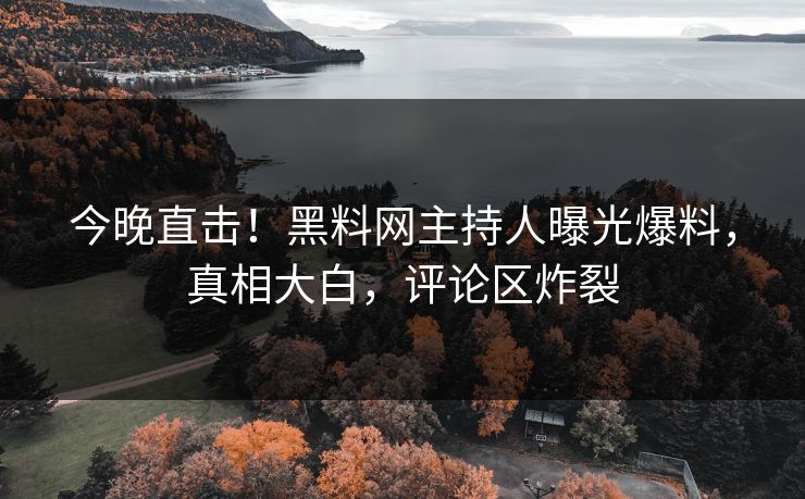 今晚直击！黑料网主持人曝光爆料，真相大白，评论区炸裂