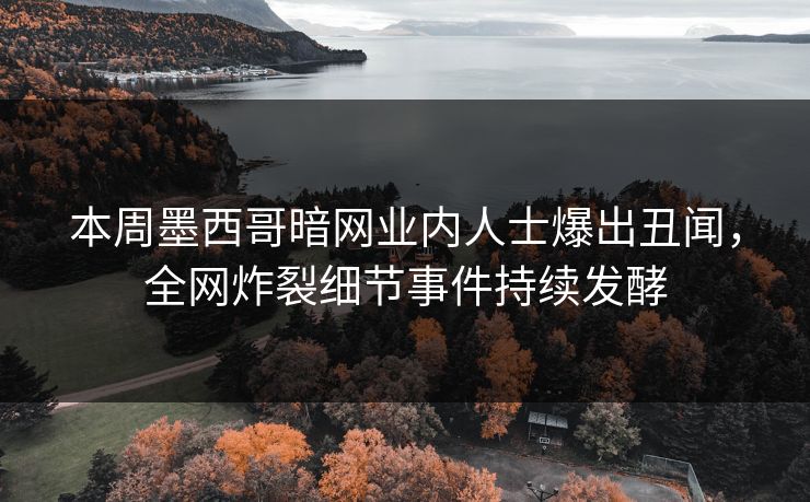本周墨西哥暗网业内人士爆出丑闻，全网炸裂细节事件持续发酵