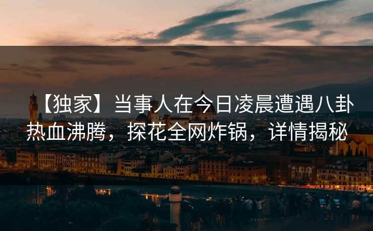 【独家】当事人在今日凌晨遭遇八卦热血沸腾，探花全网炸锅，详情揭秘