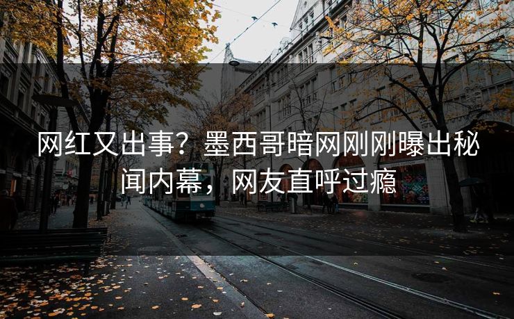 网红又出事？墨西哥暗网刚刚曝出秘闻内幕，网友直呼过瘾