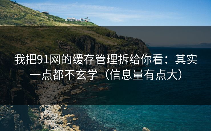 我把91网的缓存管理拆给你看：其实一点都不玄学（信息量有点大）